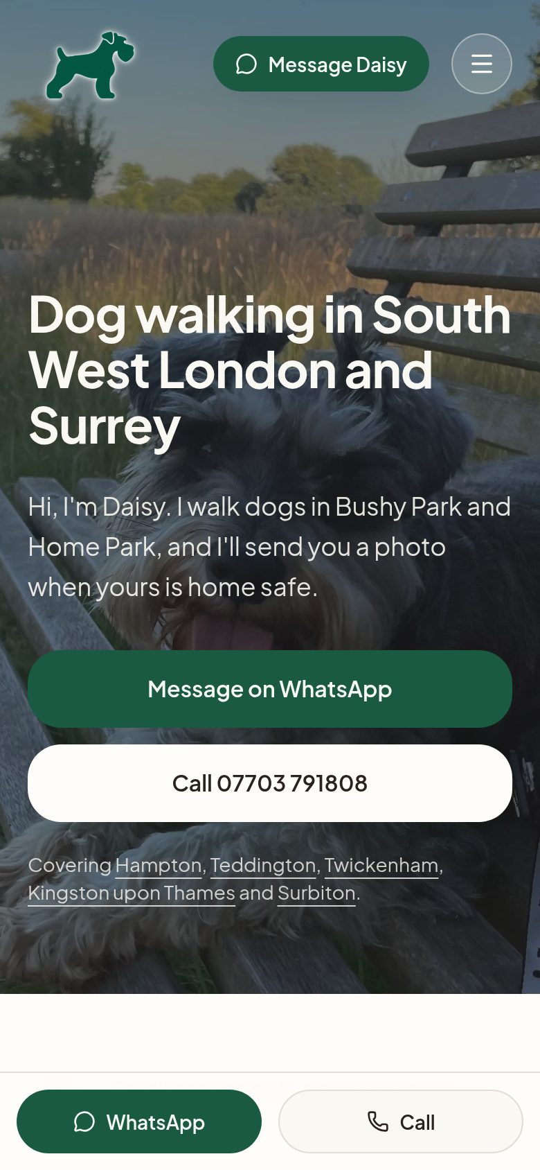 Daisy's Dog Walking website on a phone